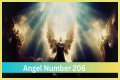 
ANGEL NUMBER 206

