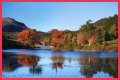Best Fall Foliage Cruise Destinations