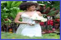 Carlos Santana Wife: Is Carlos Santana Married?