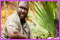 Nonso Anozie - Zoo Cast Member