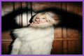 Q&A Session: Pixie Lott - CelebMix