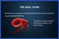 What Really Caused the Black Death: Anthrax or Celestial Bodies?