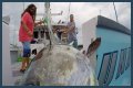 Who has the most expensive boat on Wicked Tuna?