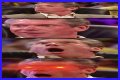 WWE Fans Cannot Believe Their Eyes After Seeing Vince McMahon All Jacked Up at
76