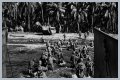 WWII's Most Daring Raids - Smithsonian Channel